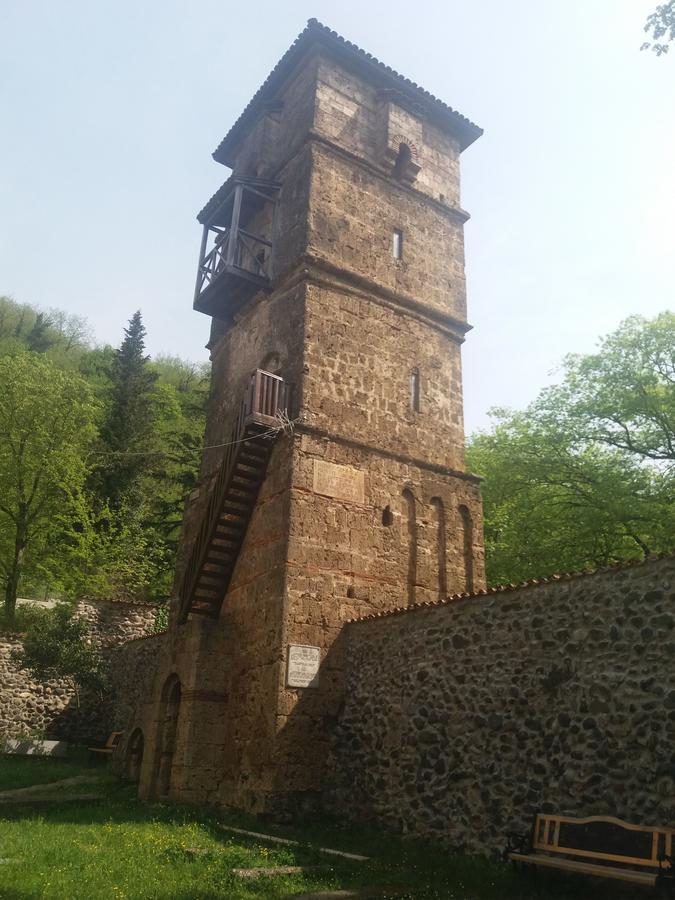 Guest House Darejani Кутаиси Екстериор снимка