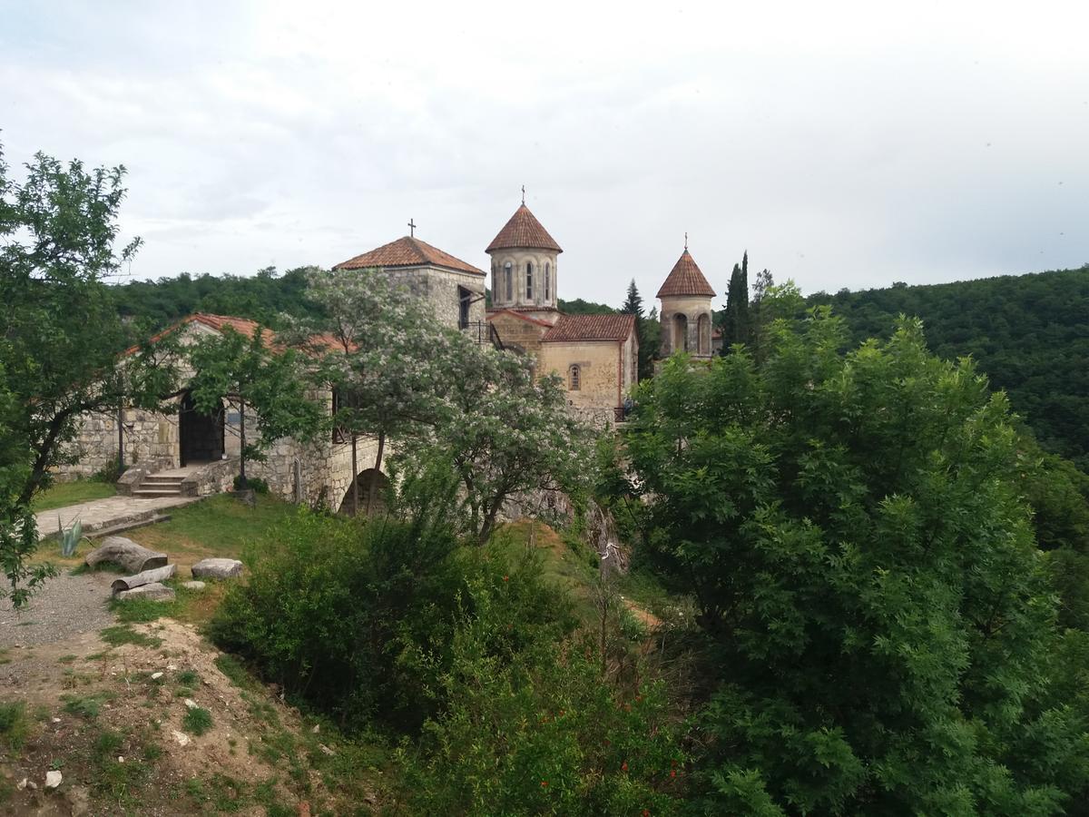 Guest House Darejani Кутаиси Екстериор снимка